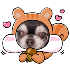 [LINEスタンプ] レオレオ様♡