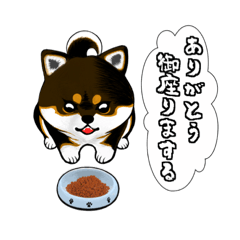 [LINEスタンプ] 黒柴ベルちゃん