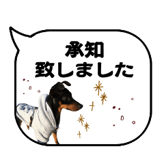 [LINEスタンプ] ミニチュアピンシャーの吹き出しスタンプ