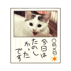 [LINEスタンプ] うちの子たちです♡