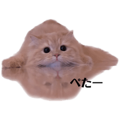 [LINEスタンプ] もずのスタンプ