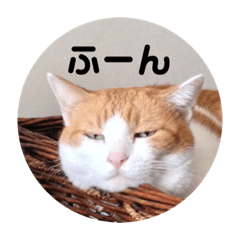 [LINEスタンプ] ねこわさびスタンプ