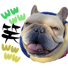 [LINEスタンプ] 我が家の6buhi