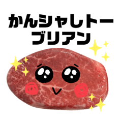 [LINEスタンプ] 新垣精肉店のお肉スタンプ2