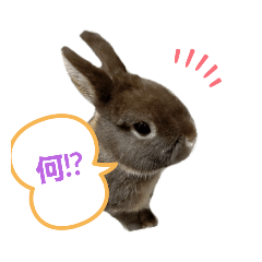 [LINEスタンプ] 〜日常会話♡*〜