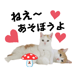 [LINEスタンプ] 黒猫ジジの仲間たち