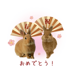 [LINEスタンプ] うさぎのスタンプ★Gelée ＆ Sucré