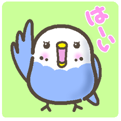 [LINEスタンプ] 毎日◎まるまる青インコさん