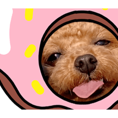 [LINEスタンプ] リュウ＆ジェシー 2