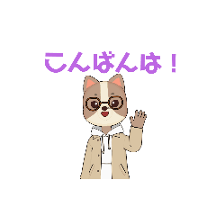 [LINEスタンプ] こんばんは はちわれ
