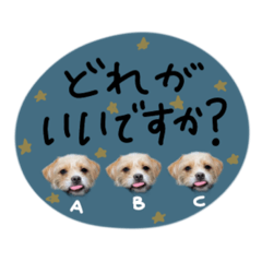 [LINEスタンプ] moca_12_15