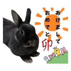 [LINEスタンプ] パーすたんぷ 5の画像（メイン）