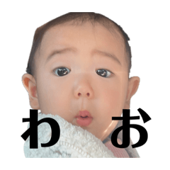 [LINEスタンプ] ほーたんマンの画像（メイン）