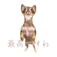 [LINEスタンプ] チルエイト君