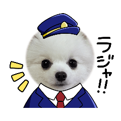 [LINEスタンプ] 3ポメの日常