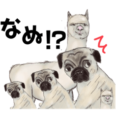 [LINEスタンプ] nekosuta_inuの画像（メイン）