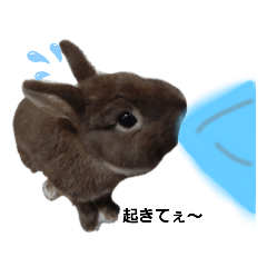 [LINEスタンプ] 〜日常会話2♡*〜