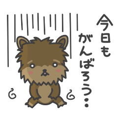 [LINEスタンプ] ミヤ犬 (社会人ver)