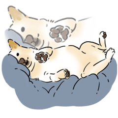 [LINEスタンプ] 柴犬の花くん