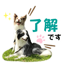 [LINEスタンプ] レオンとルーク