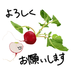 [LINEスタンプ] 新鮮なおやさいたち