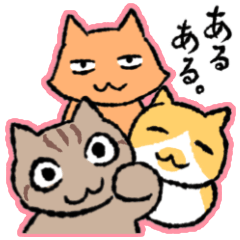 [LINEスタンプ] 3びきの茶ねこ～猫あるある編～