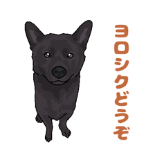 [LINEスタンプ] 甲斐犬1