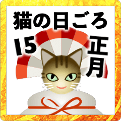 [LINEスタンプ] 猫の日ごろ15 キジトラ猫のお正月