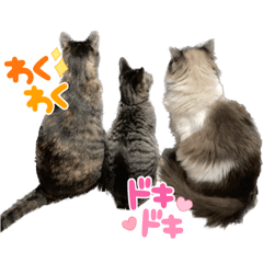 [LINEスタンプ] くみふめちゃんず