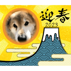 [LINEスタンプ] ぽん 2023
