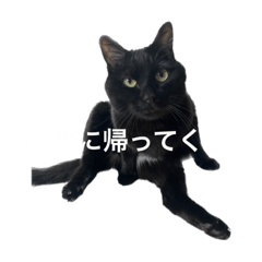 [LINEスタンプ] muta01