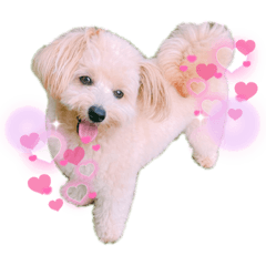 [LINEスタンプ] ろみろみろみお（1さい）