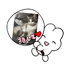 [LINEスタンプ] ニヤニヤンコ1