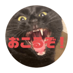 [LINEスタンプ] 無限に可愛いmutaのすたんぷ！