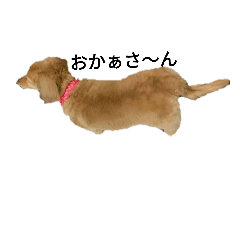 [LINEスタンプ] mooooochan