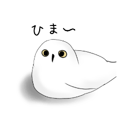 [LINEスタンプ] シンプルシロフクロウ