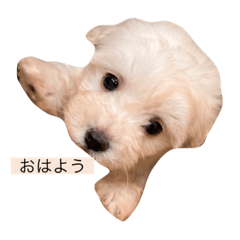 [LINEスタンプ] mochi820