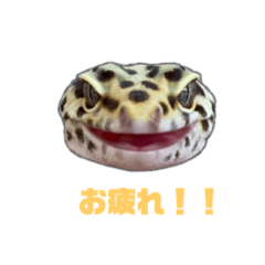 [LINEスタンプ] おトゲちゃんスタンプ第2弾