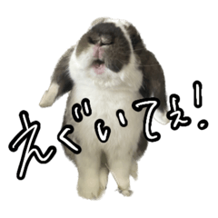 [LINEスタンプ] うさぎの本音2