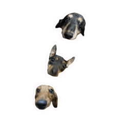 [LINEスタンプ] まろとももとぷう