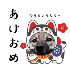 [LINEスタンプ] うちの鼻黒わんこの年末年始