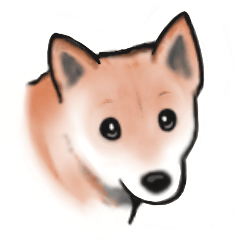 [LINEスタンプ] 【敬語】保護犬の空(くう)ちゃん