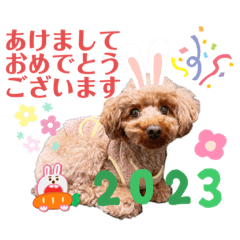 [LINEスタンプ] もかちゃんクリスマス・お正月
