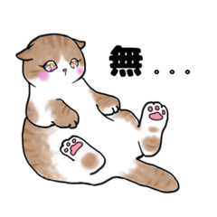 [LINEスタンプ] ピンクほっぺのほんわか可愛い猫ちゃん達♡