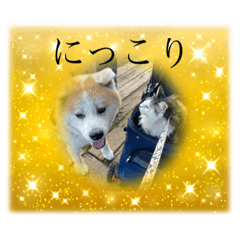 [LINEスタンプ] 小鉄と神楽