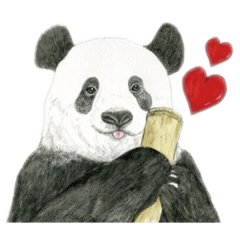 [LINEスタンプ] クリスタルアート Panda Design Stamps