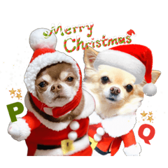 [LINEスタンプ] PQすたんぷ★