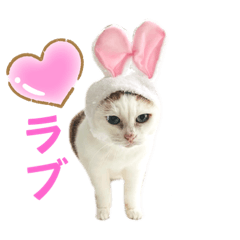 [LINEスタンプ] おかっぱちゃんおうちの子になる