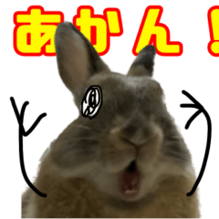 [LINEスタンプ] 佐藤そぼろだよ！うさぎだよ！