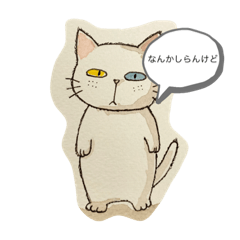 [LINEスタンプ] 無愛想なニャンコ